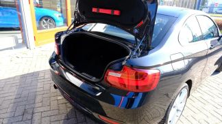 Lízing Kupé BMW 220 2015