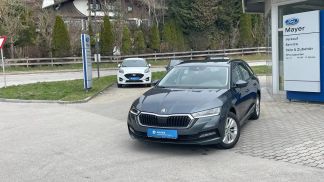 Leasing Wagon Skoda Octavia 2020